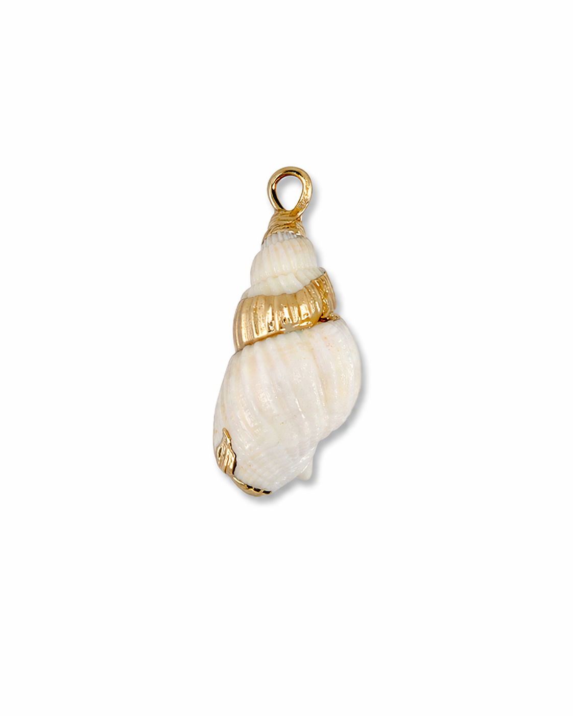 Schelp - Goud/Wit