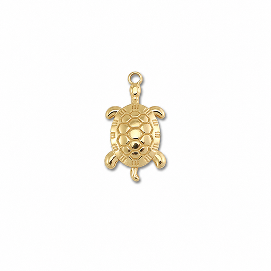 Schildpad